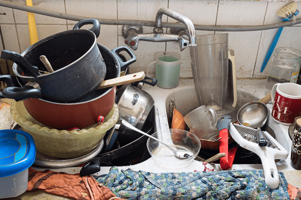 azierta servicios diogenes