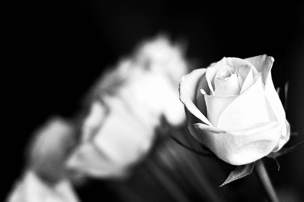 azierta servicios mortem